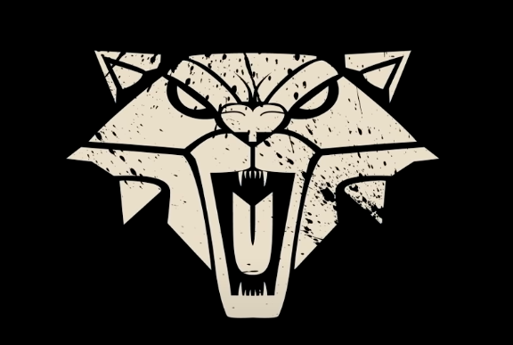 Большество ведьмаков школы кота были наемными убийцами, считая тех которых нам показали в игре 