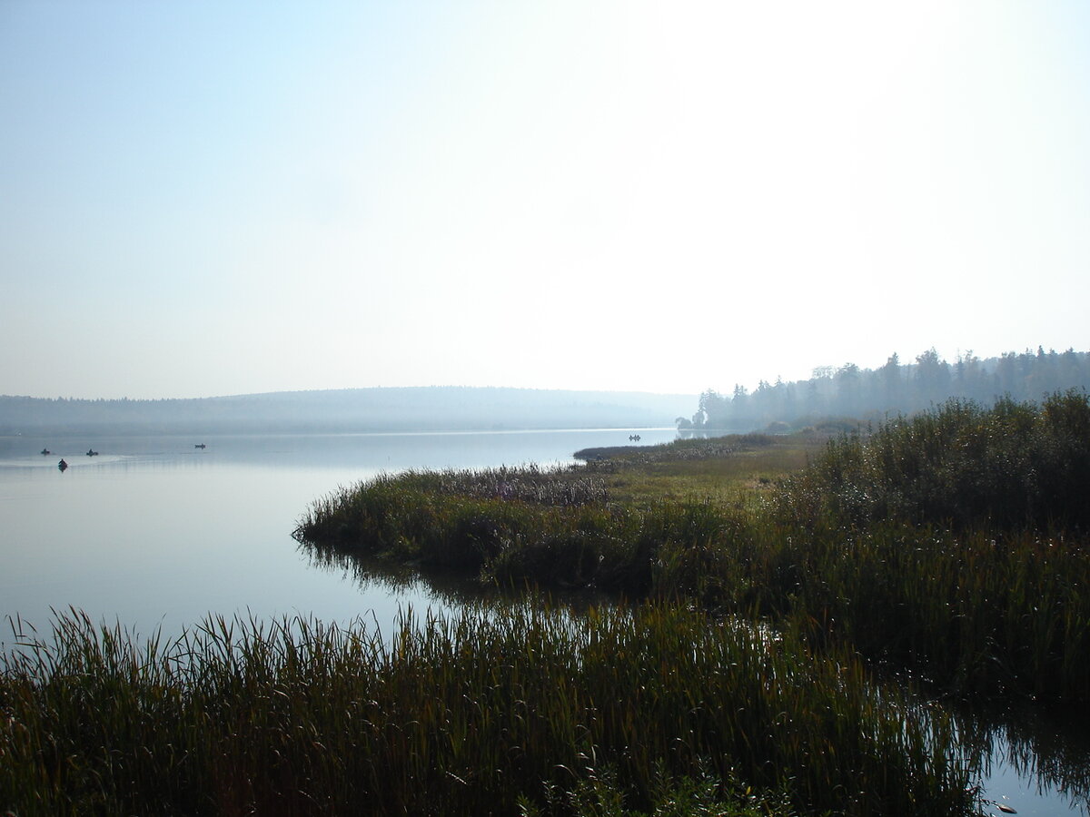 Берега Плещеева озера