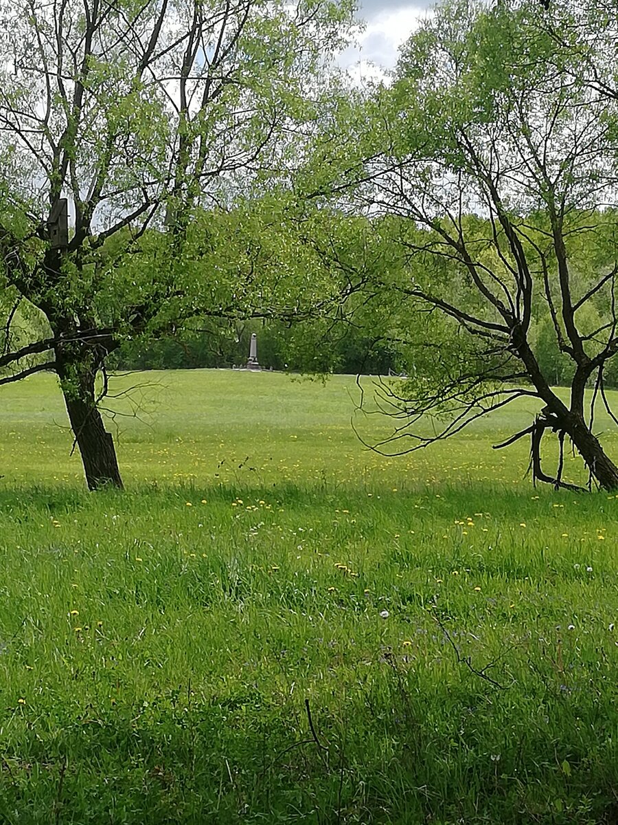 Не придумала, какую картинку вставить для заставки. Пусть будет природа! (из личного архива) 