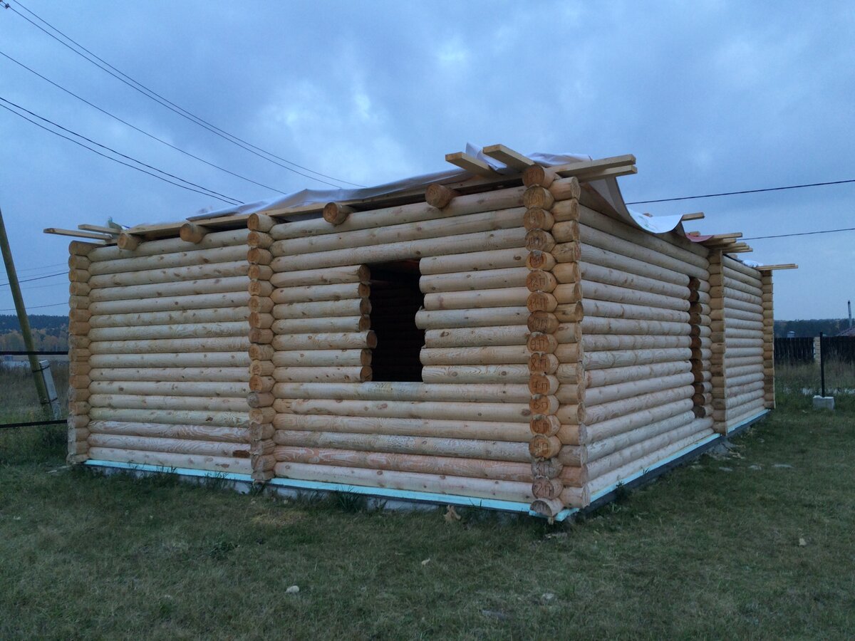 Рассказываю с помощью чего избавлялся от грибка на срубе. Результат  превзошёл мои ожидания. | Рабочая Молодежь | Дзен