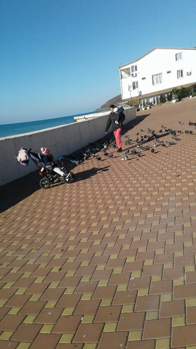 Люди и голуби.