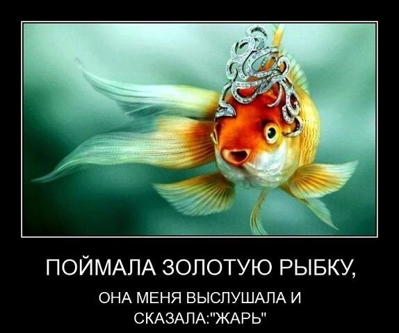 Фото из свободного доступа