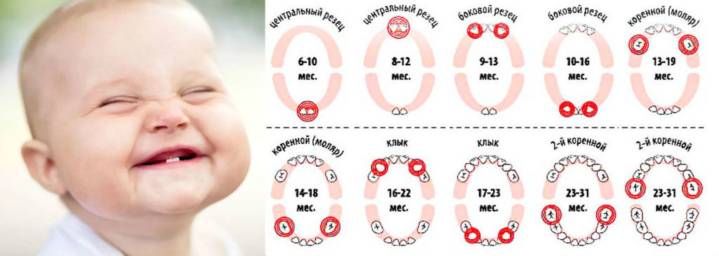 Судя по картинке, спать нормально мы будем ещё целых 1,5 месяца!! Источник:яндекс.картинки