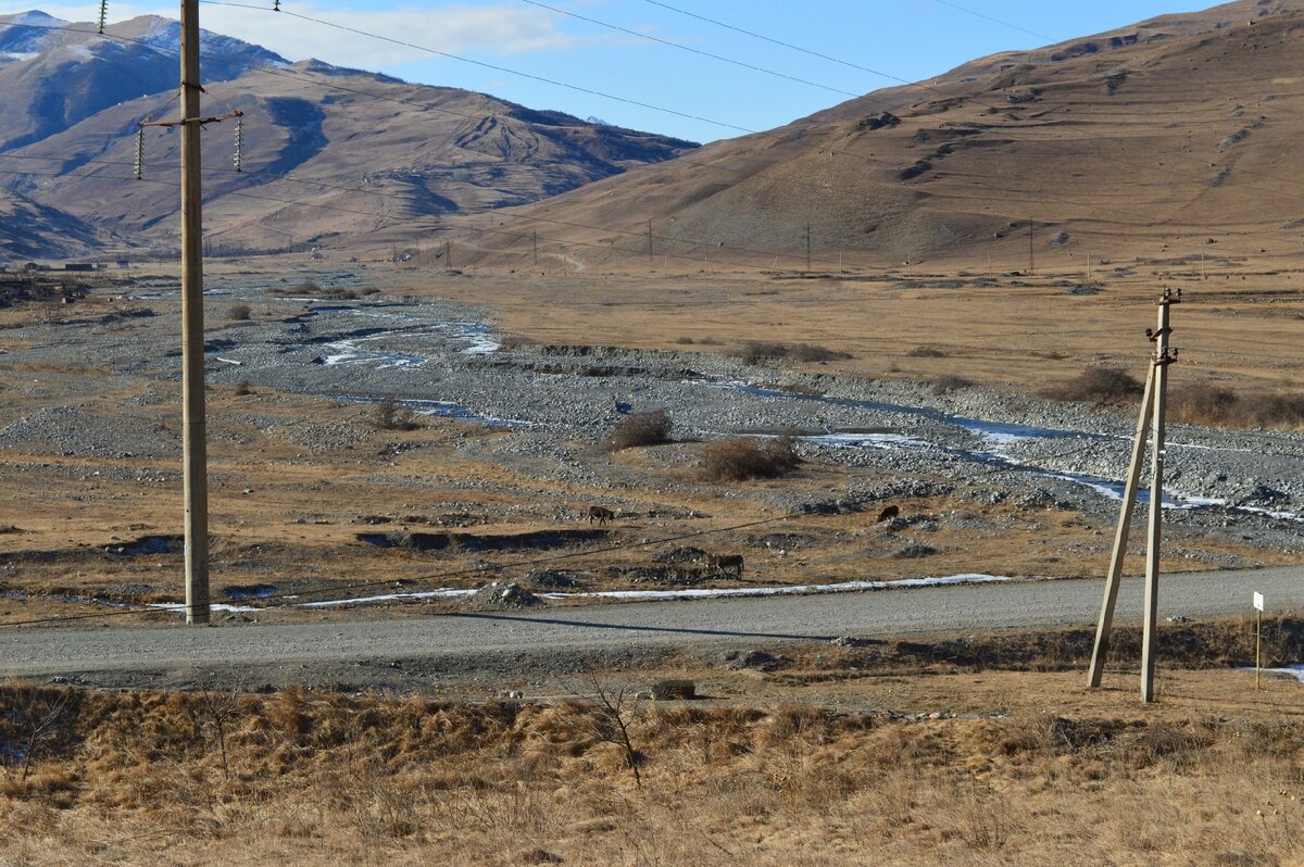 © СЕ ЧЕЛОВЕК