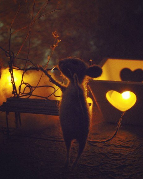 Фото из открытых источников