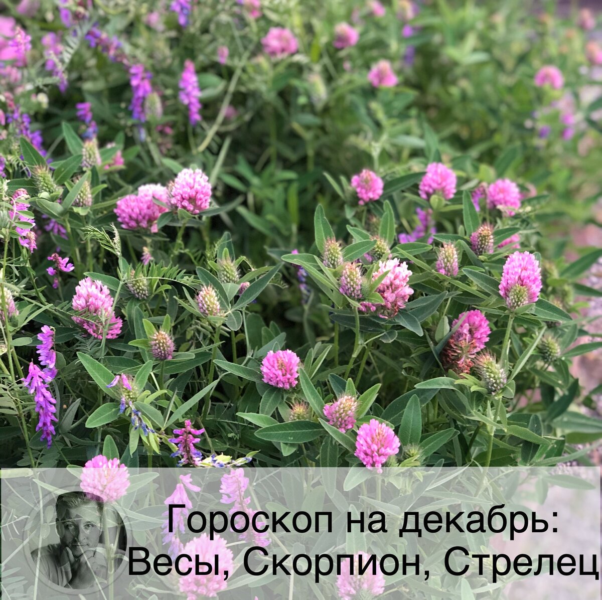 Подписывайтесь на наш канал, друзья!
Продолжаю публиковать гороскоп на декабрь. На сайте можно посмотреть нумерологический прогноз по дате рождения на 2020 г. и тайну своего имени. В личном кабинете, зарегистрировавшись по ссылке в описании профиля, или забив в поисковике "астролог Олег Персидский" 👩🏼‍💻

⚖ Весы
❤️ В декабре Весы будут больше внимания обращать на семейные дела, чем на рабочие. У одиноких Весов будет достаточно шансов начать роман в этом месяце, не упустите их. У семейных представителей знака месяц обещает быть довольно гармоничным, при условии, что они сами не будут провоцировать конфликты.
💶 Решение некоторых проблем может тормозиться из-за отсутствия у вас достаточной информации. У вас будет много общения и новых знакомств, что поможет наладить деловые связи. Месяц подходит для оформления важных документов. Финансовая ситуация должна улучшиться, вы можете получить премию или повышение зарплаты.
🤒 В декабре хорошо зайдут семейные виды спорта.

🦂 Скорпион
❤️ У одиноких Скорпионов будет шанс завести роман. По крайней мере, скучать на новогодние праздники вам точно не придется.
💶 Финансово месяц обещает быть очень удачным: вы сможете решить много проблем, связанных с деньгами, или заложить базу для этого. Сейчас вы можете не только хорошо зарабатывать, но и успешно вкладывать деньги. В декабре вы будете заняты мыслями о том, как можно приумножить свой доход, и сможете найти много новых вариантов, не забудьте воплотить их в реальность.
🤒 Сейчас будет особенно легко избавиться от вредной привычки или сбросить вес.

🏹 Стрелец
❤️ Семейные Стрельцы могут ощущать некую напряженность в отношениях в первой половине месяца. Во второй половине месяца одинокие Стрельцы познакомятся с интересным человеком, но скорее всего, вы будете приписывать ему те черты характера, которые ему не свойственны.
💶 В декабре Стрельцы смогут добиться всего, чего захотят. Финансовые успехи заложат крепкую базу для дальнейшего материального благополучия. Вы будете особенно общительны в декабре, что хорошо для налаживания деловых связей и выступлений перед публикой. Финансовое положение улучшится.
🤒 Занятие спортом будут приносить удовольствие Стрельцам.