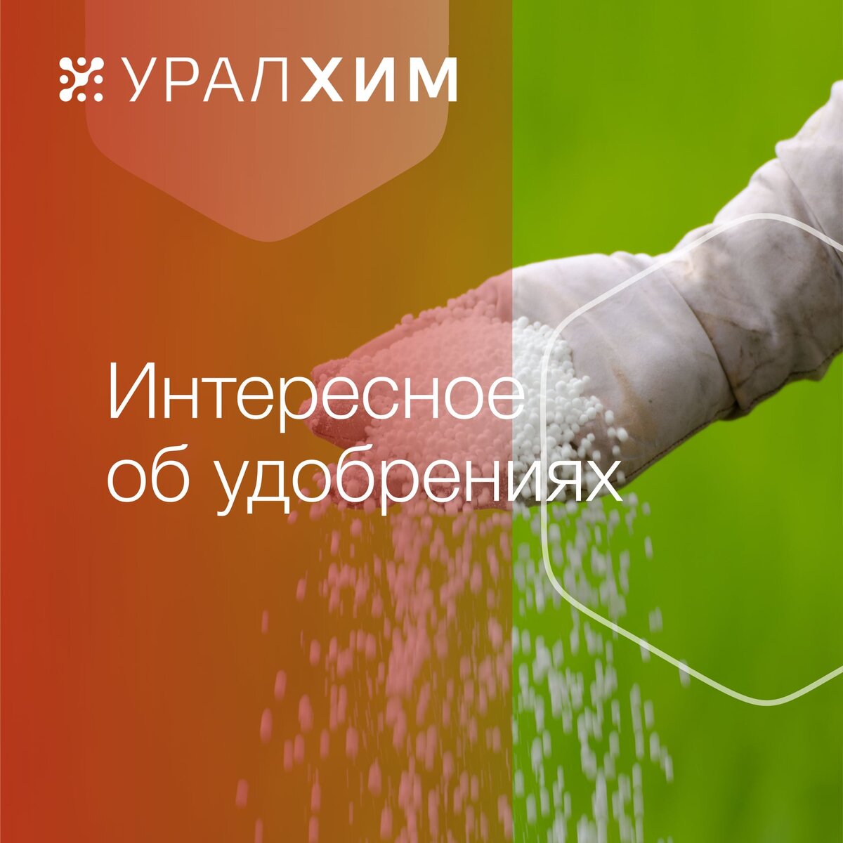 История минеральных удобрений