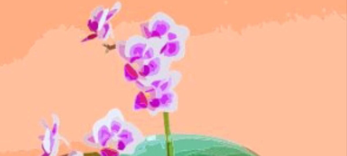 (Личное фото автора) 