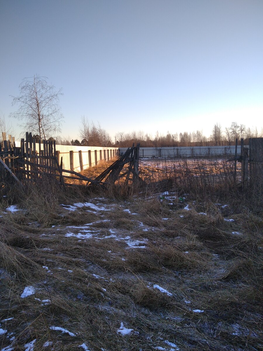 Старый забор разрушен. Где проходит граница - непонятно. 