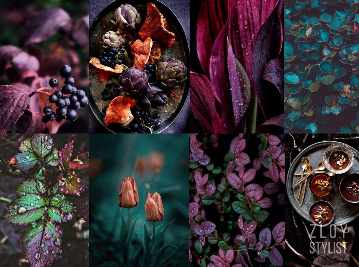 коллаж сделан из картинок с pinterest.com