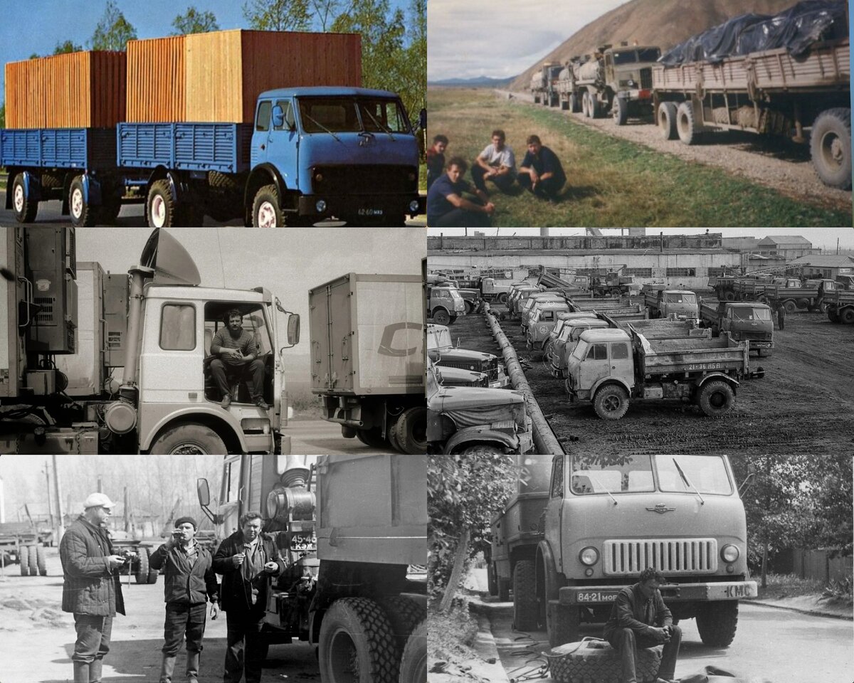 Коллаж для примера, фото из свободных источников.