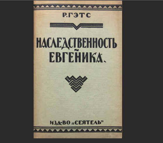 Фото из открытых источников Яндекс Картинки