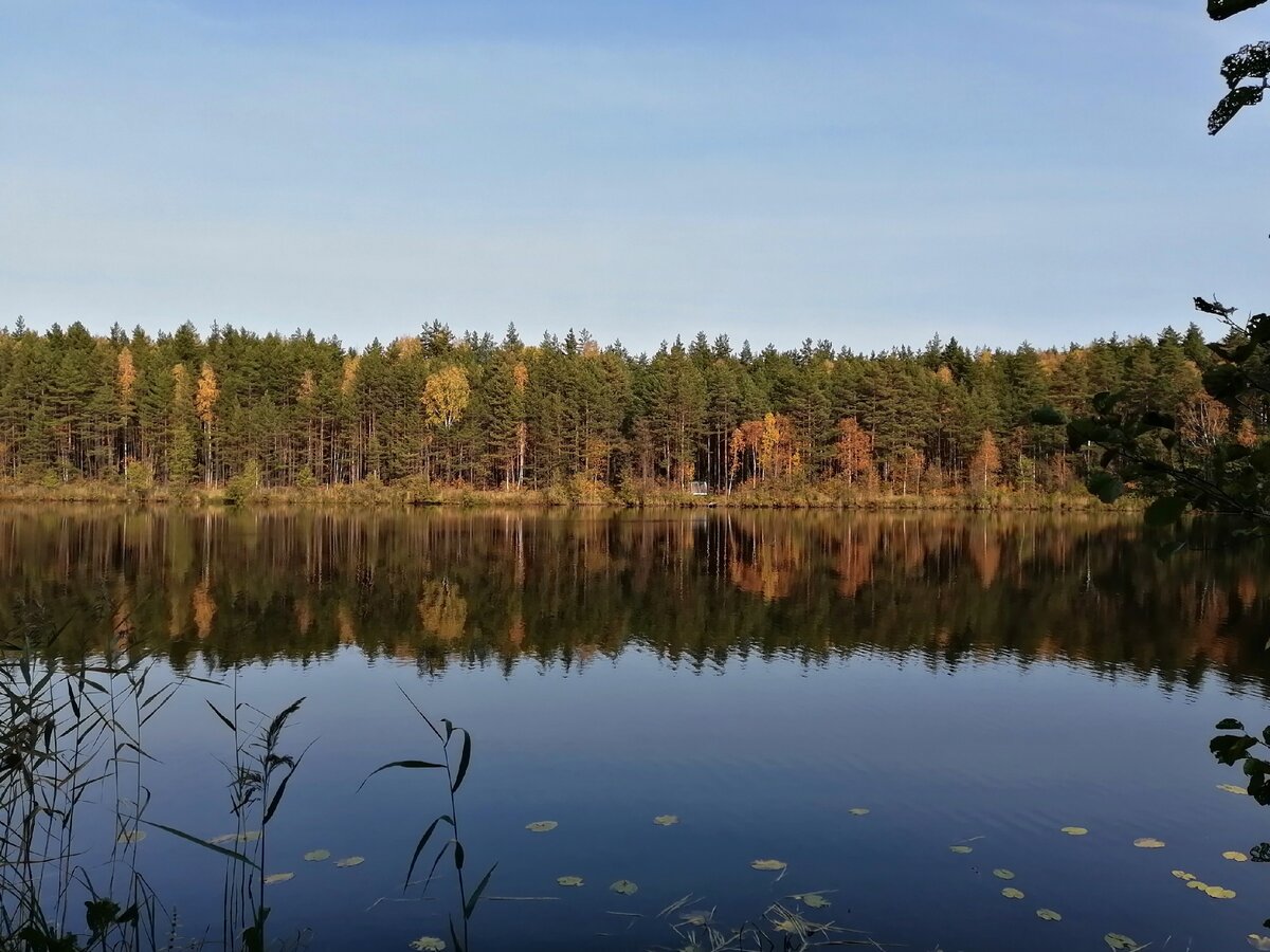 Озеро святое ивановская область южский район фото