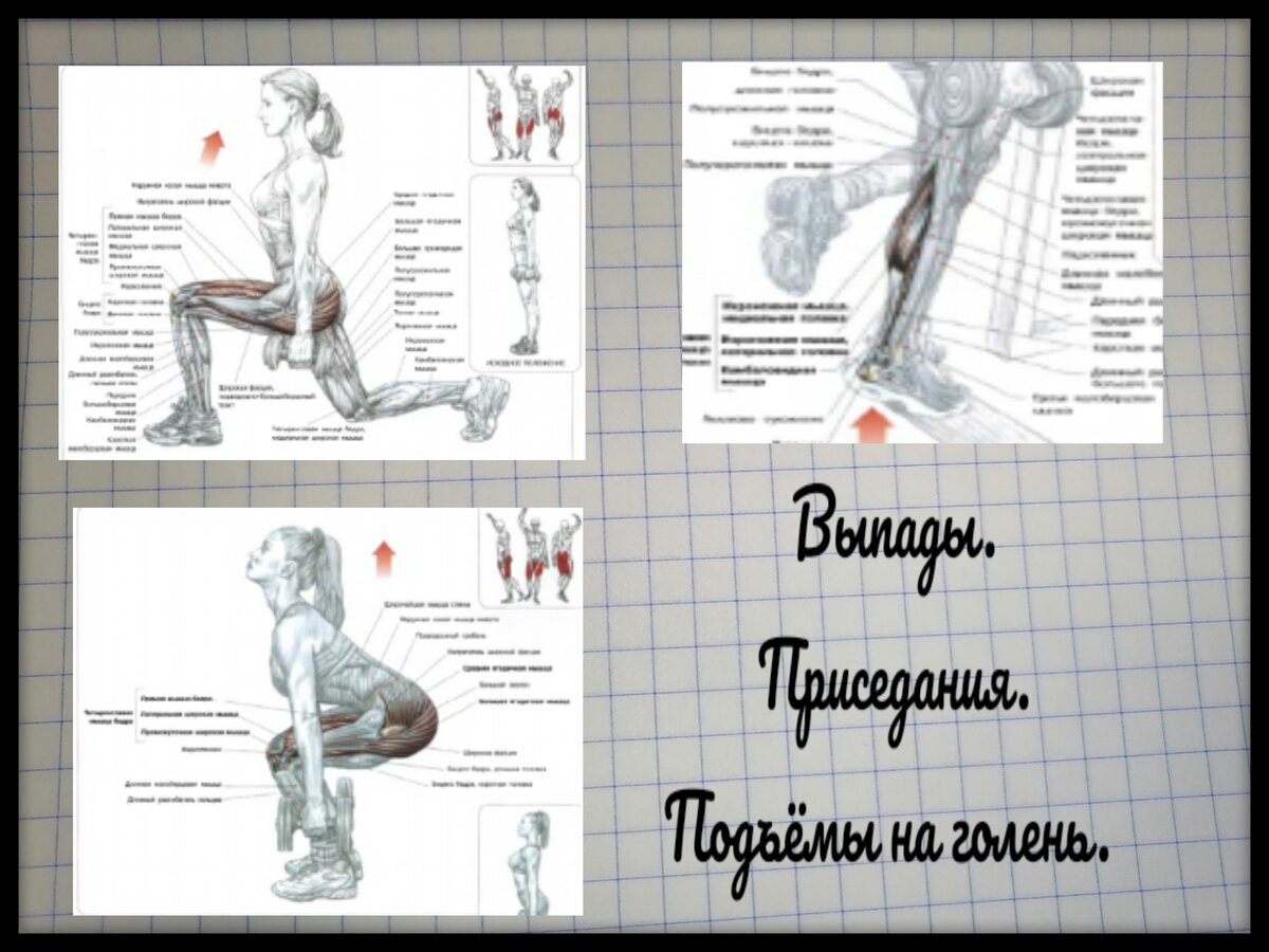 Мышцы ног дома. Тренировка с одними гантелями. | Body-кач | Дзен