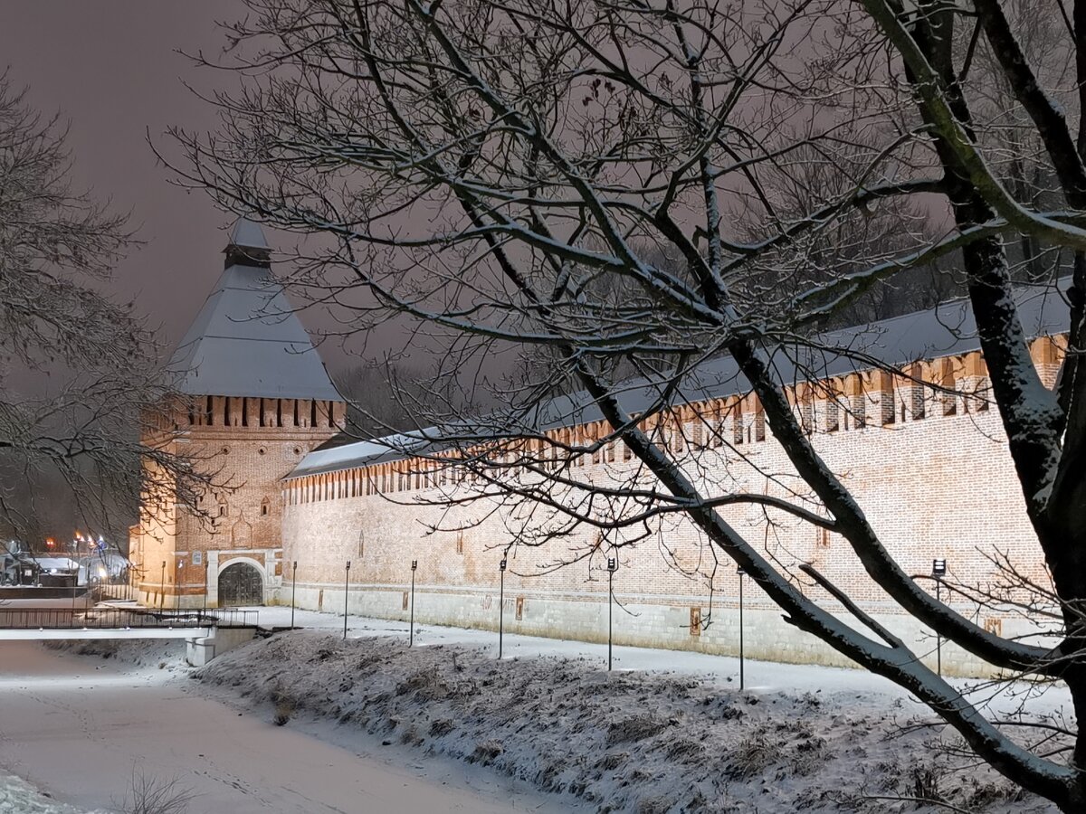 Смоленская крепость