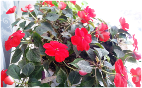 Ставьте лайки и подписывайтесь на мой канал.