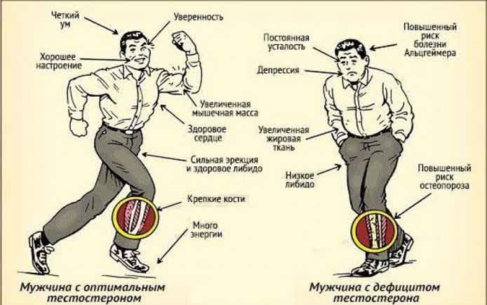 изображение взято из открытых источников сети Интернет