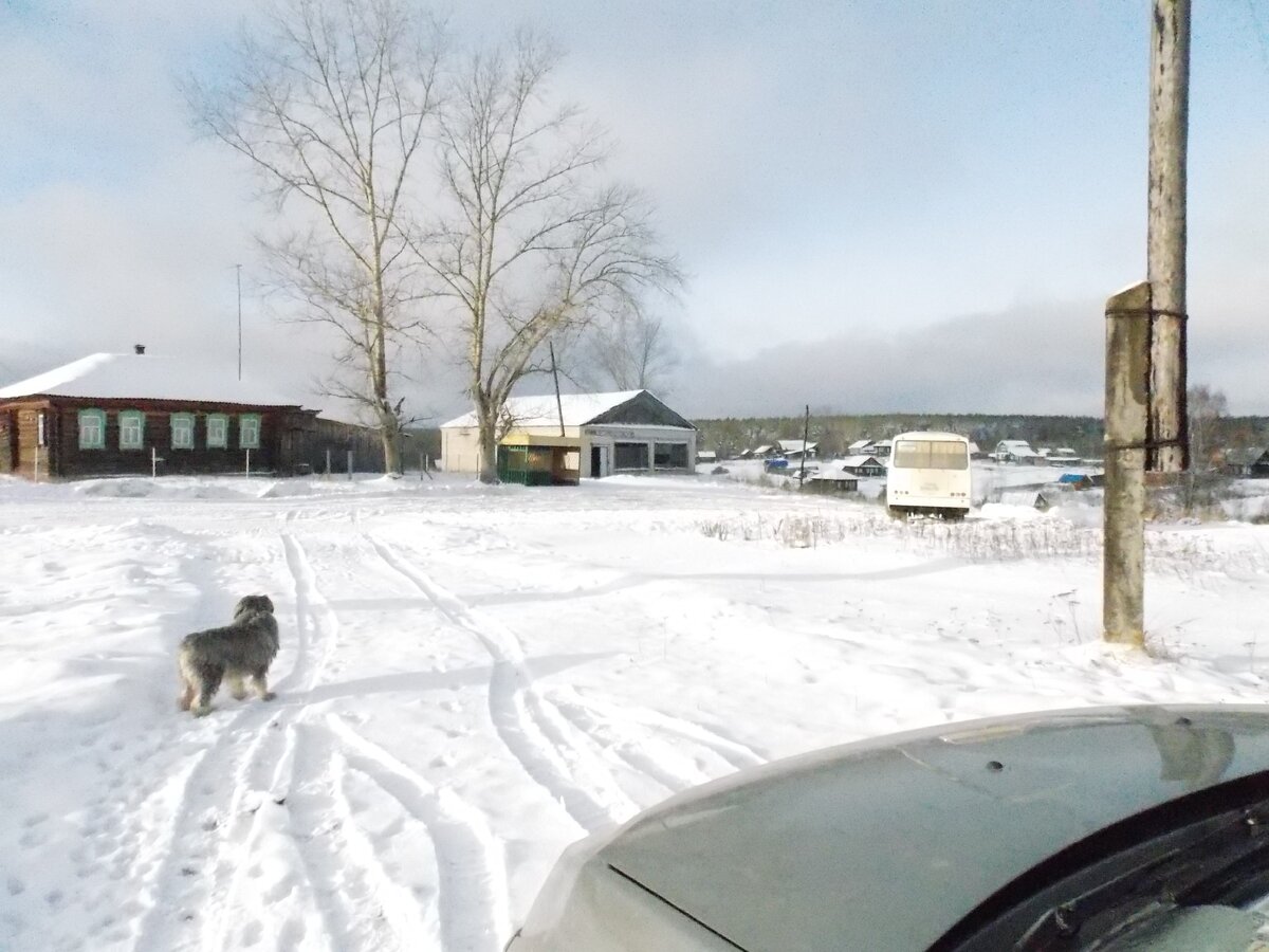 Дорога к дому от дороги. Приехал автобус. Граф готов проводить инспекцию прибывших, при их наличии.