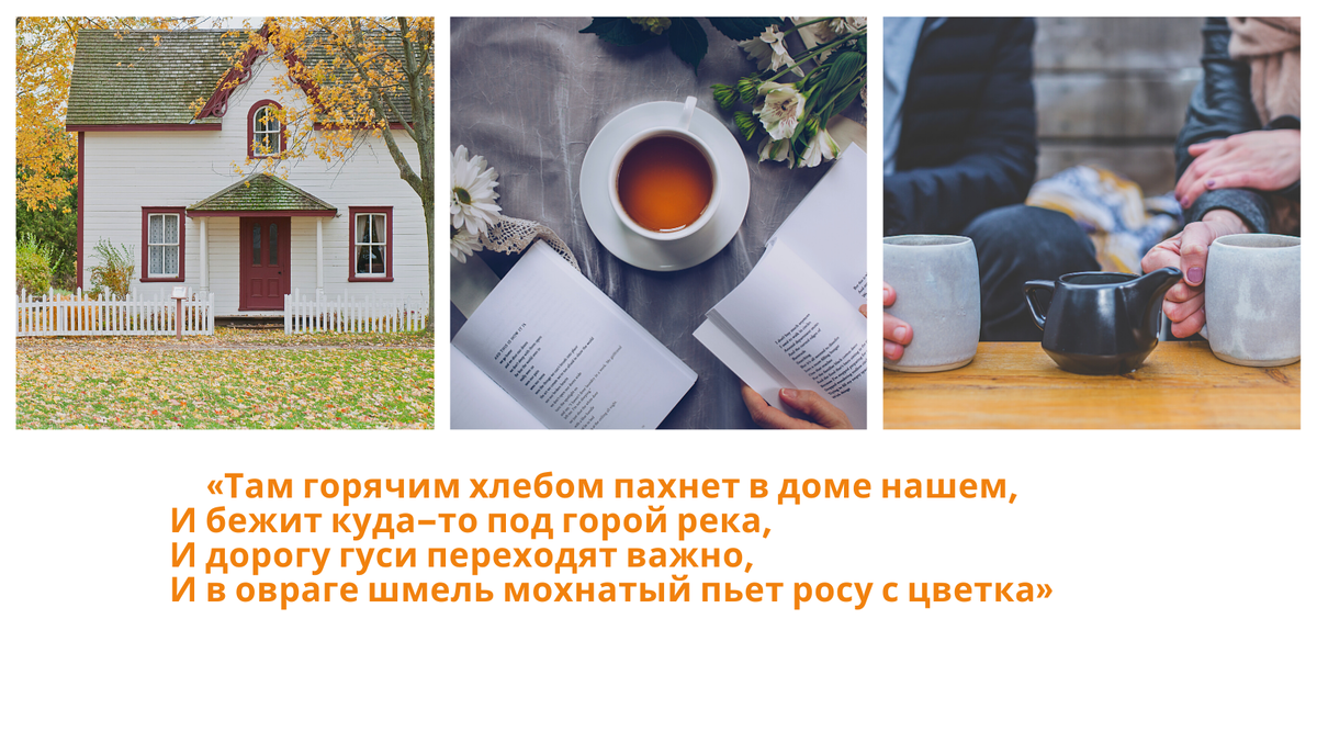 загородная жизнь 