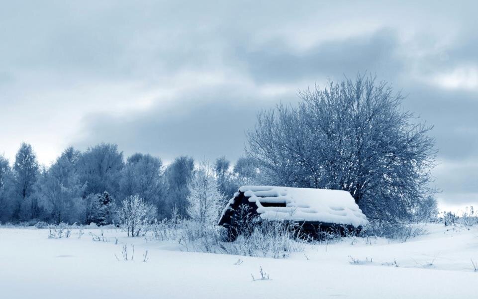 Фото — goodfon.ru