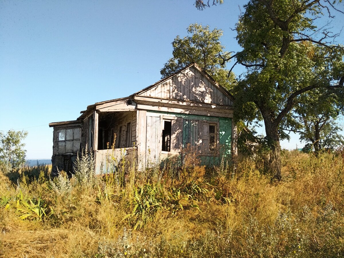 Фото автора.