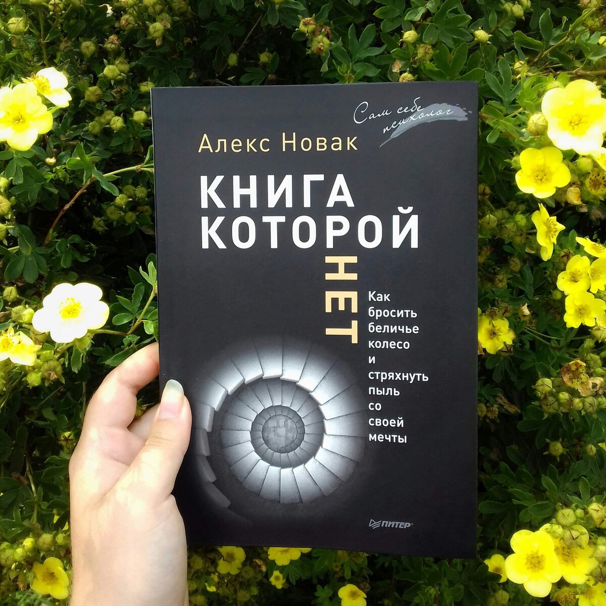 Книги которой нет алекса. Новак а. "книга которой нет". Алекс Новак книга которой. Алекс Новак другая книга которой нет. Алекс Новак "книга, который нет".