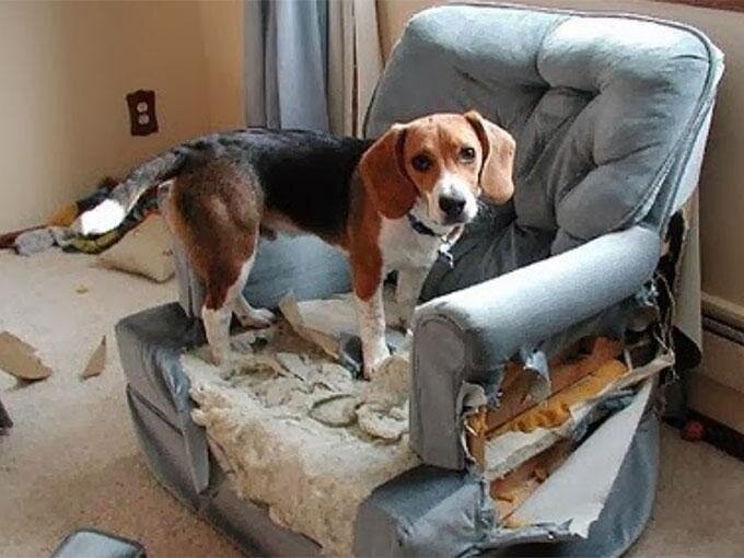 Мне просто было страшно без тебя!