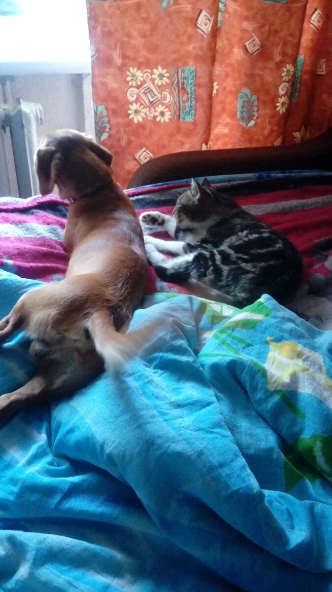 Фото автора .Благодарные пациенты.