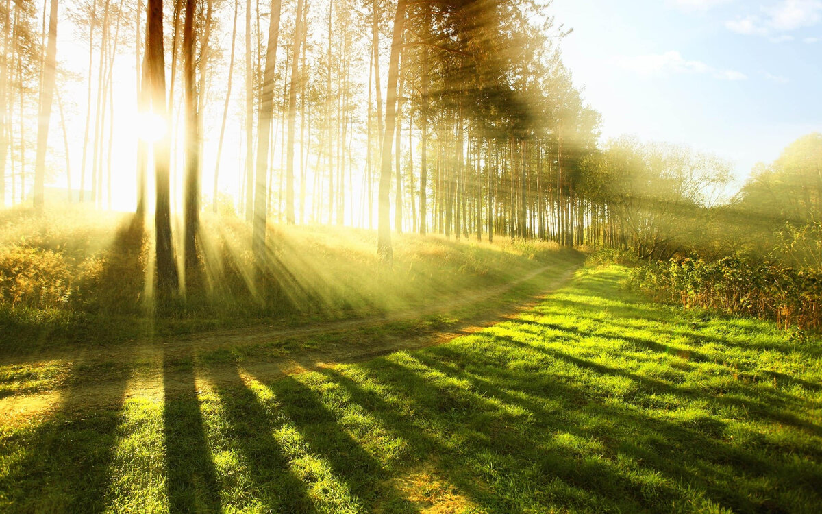 Картинка с Яндекс