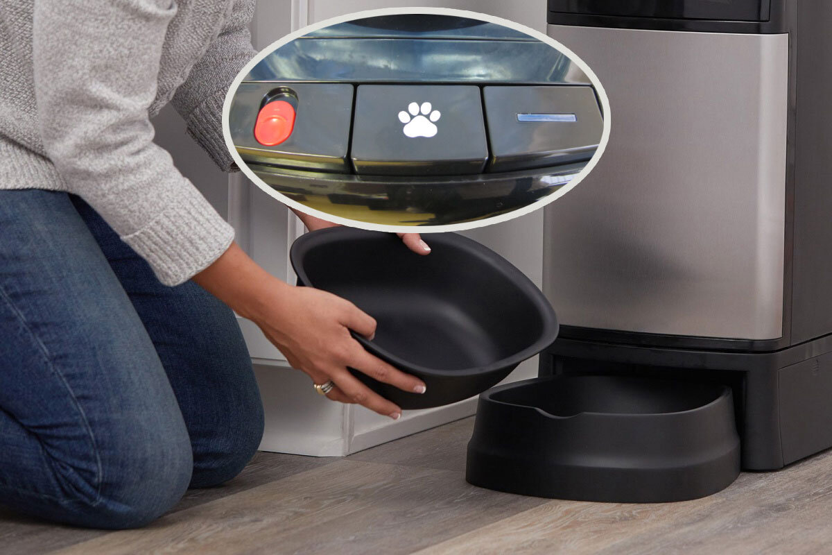 Кулер с поилкой для питомцев и специальной кнопкой