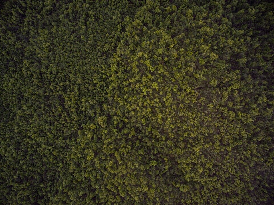 фото взято из открытых источников