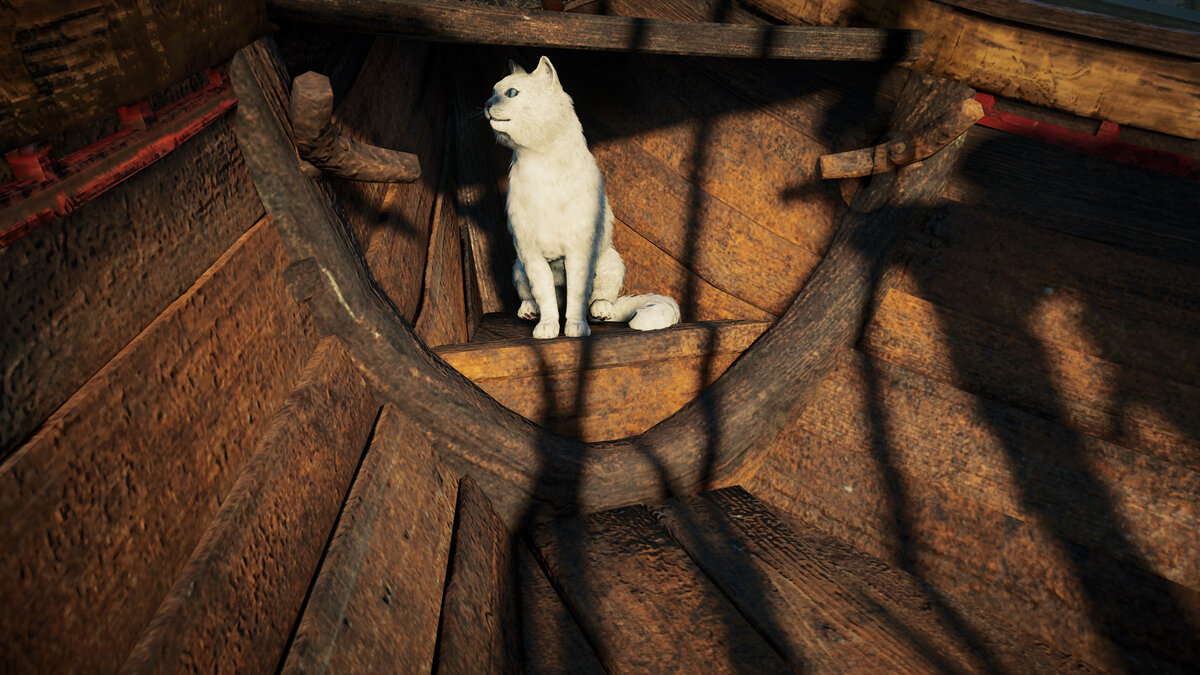 Без кота и жизнь не та. Авторский скриншот.