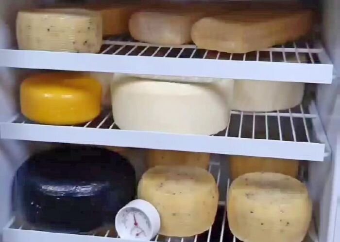 Почему сыр в холодильнике
