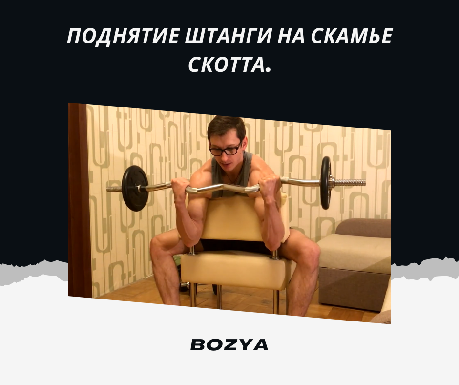 Как выбрать скамью для силовых тренировок: руководство покупателя