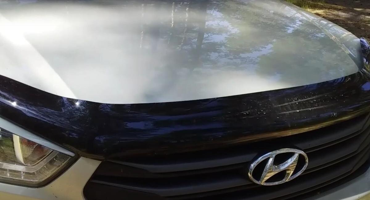 Лишение прав за «мухобойку» на капоте – что говорят автомобилисты ...