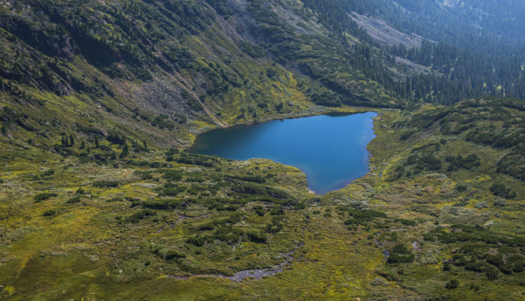 Фото: Первый Байкальский