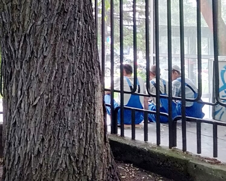 Иногда лучше сесть и подумать, как лучше поступить, а далее пойти и сделать. Сила воли берётся из действий и укрепляет внутренний стержеть, как этот тополь на фотографии