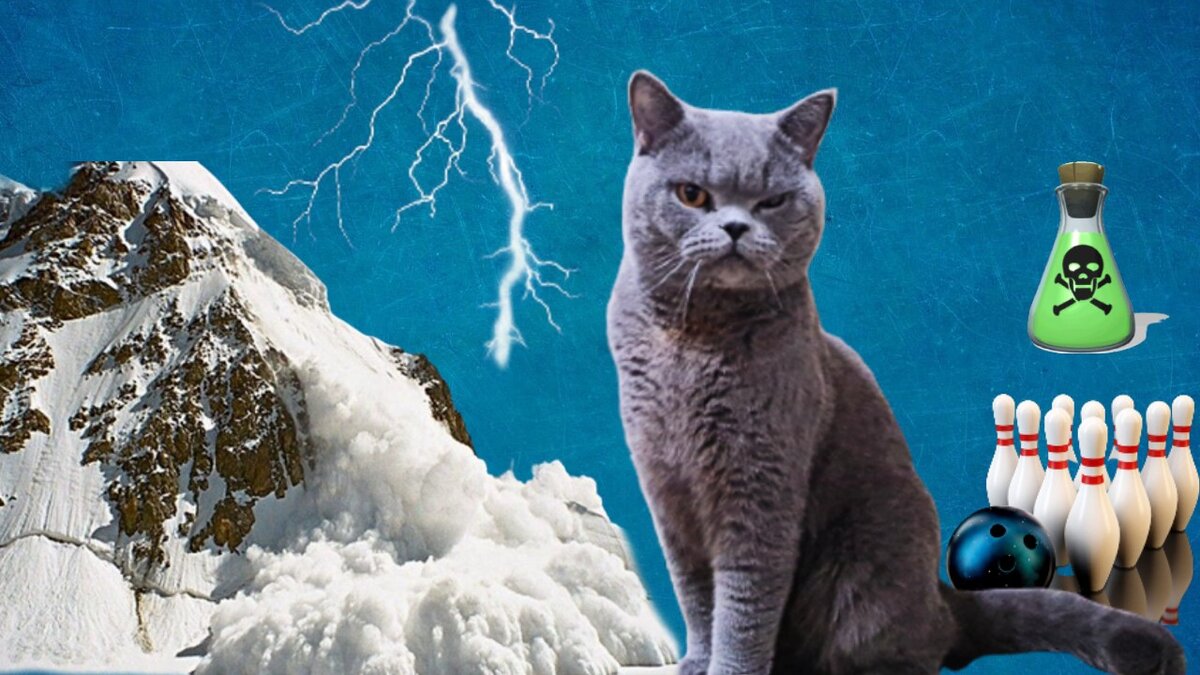 Лавина, молния, яд, боулинг и кот Лёня