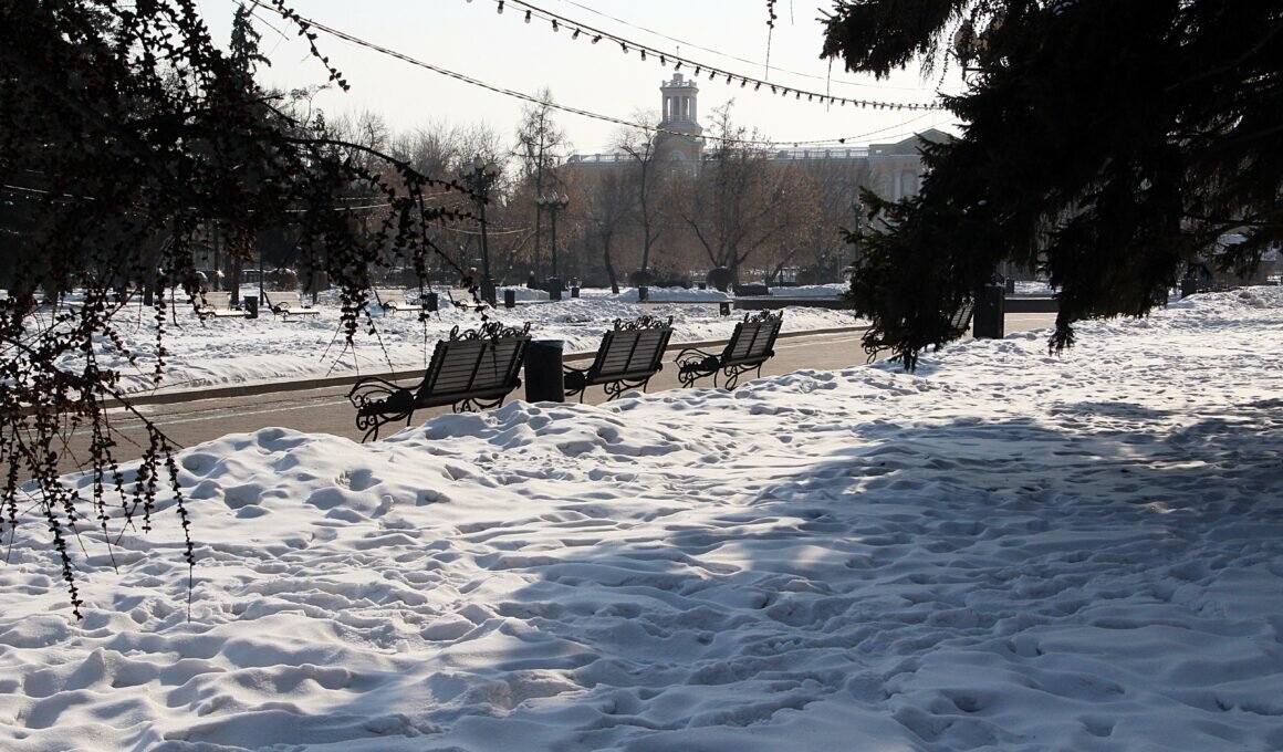 фото редакции