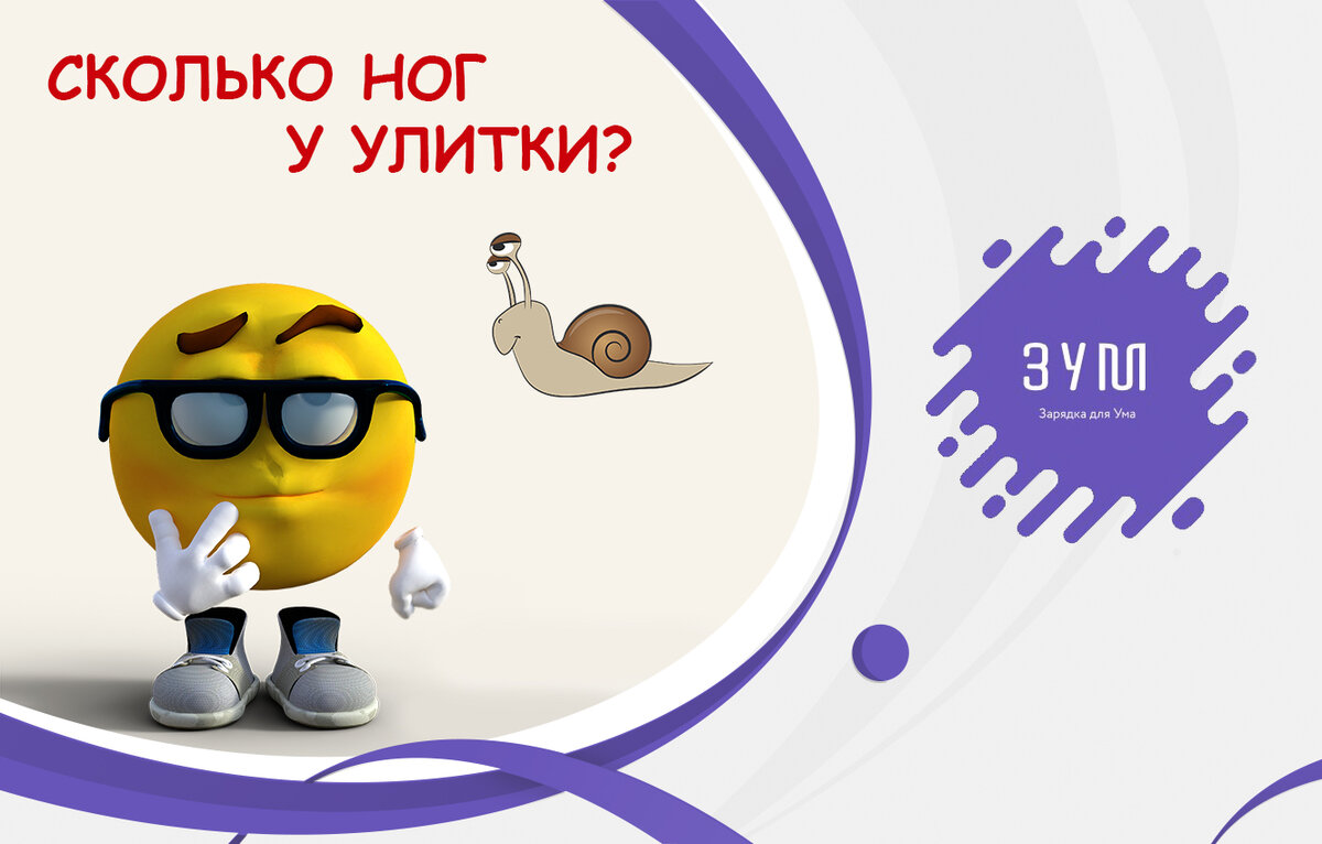 Тест на знание лады