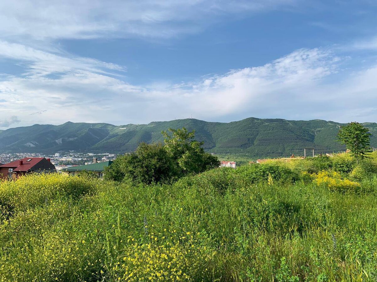 Как продать земельный участок? Разбираем ошибки и советы при продаже участков.