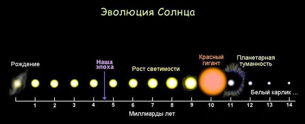    Жизненный цикл Солнца. Масштаб не соблюден; при превращении в красный гигант радиус Солнца увеличится примерно в 100 раз. / слайд презентации https://en.ppt-online.org/214854