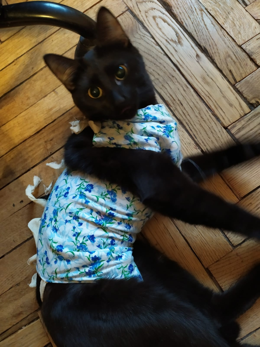 Через несколько дней после операции