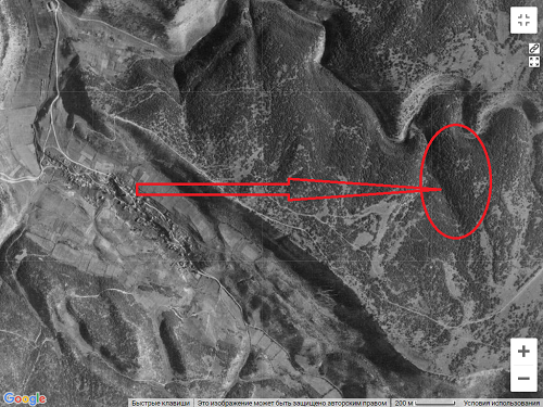 Немецкая аэрофотосъемка 1941. В основании стрелки село Камышлы. В овале- южный отрог Артиллерийского оврага (Mezler Schlucht)