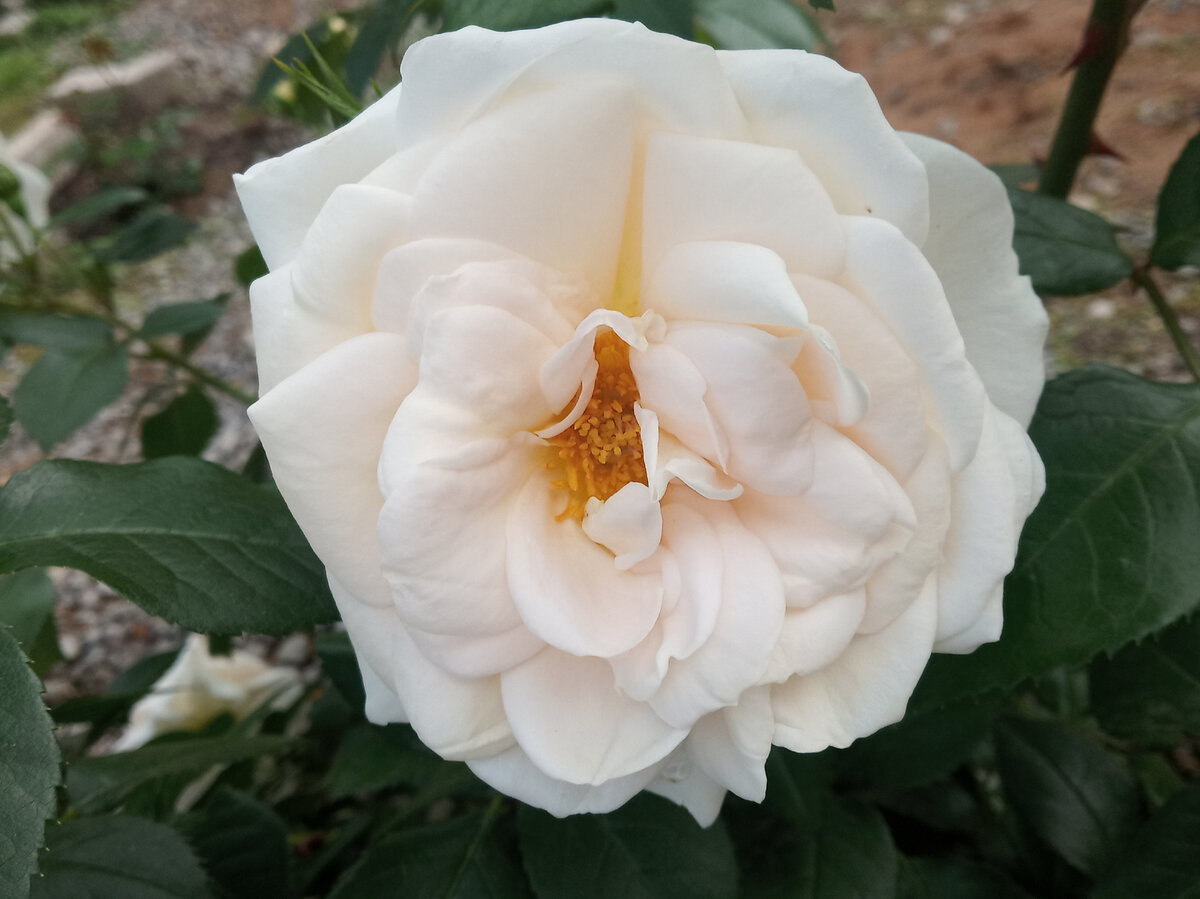 Фото из личного архива