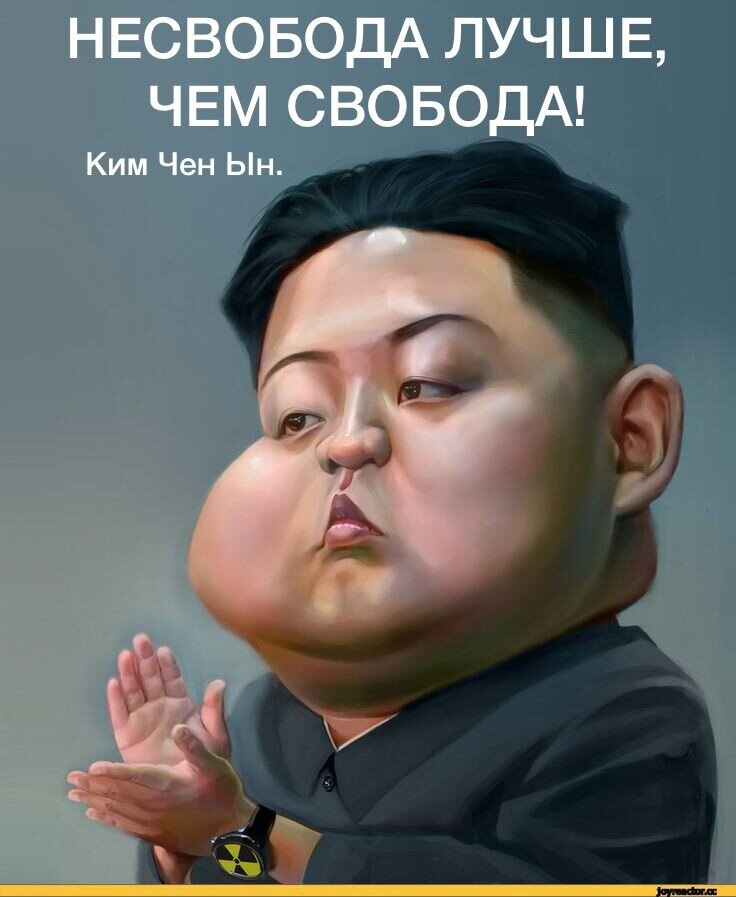 Фото из открытого источника