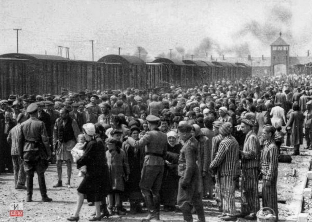 На фото одна из групп венгерских евреев в Биркенау