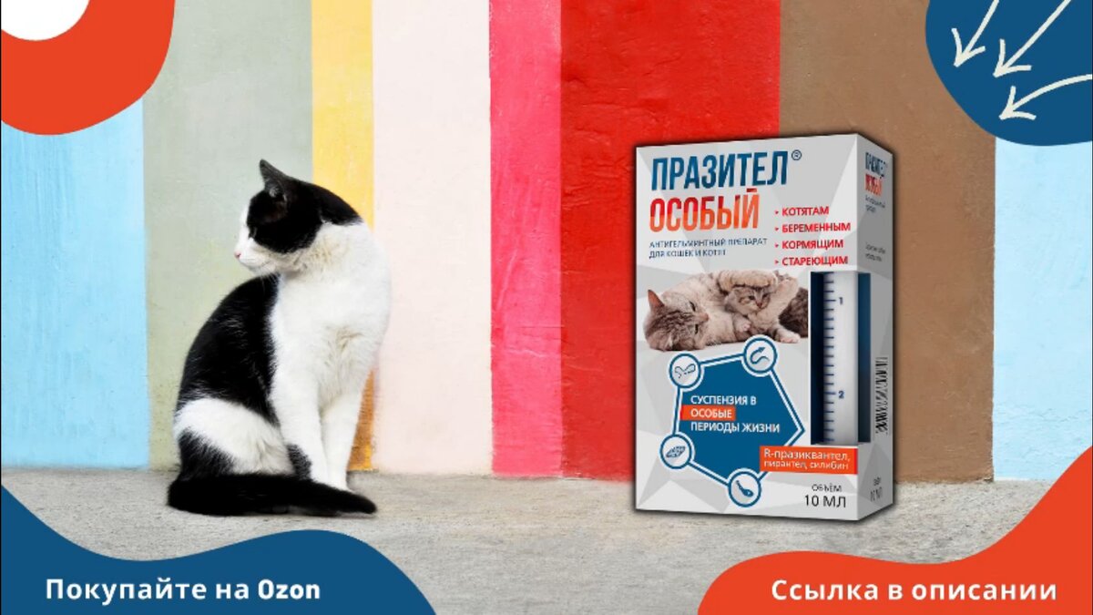 Суспензия Празител Особый для кошек и котят