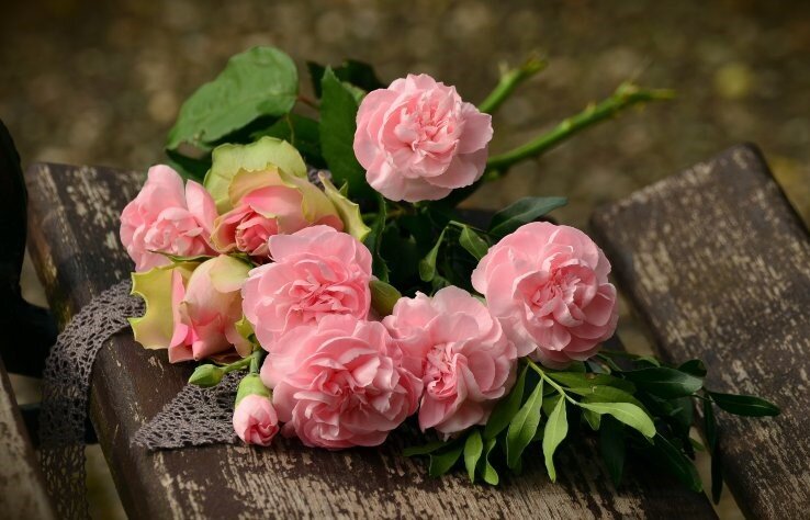 Цветами просто так не бросаются