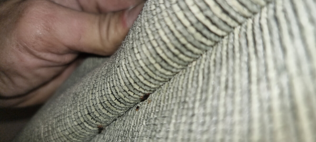 просто раскройте шов или складку на диване.